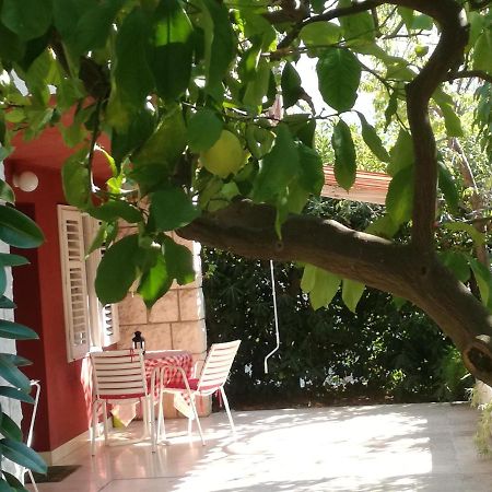 Apartment Petrovic Korčula Eksteriør billede